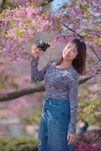 寂寞的女人燕子